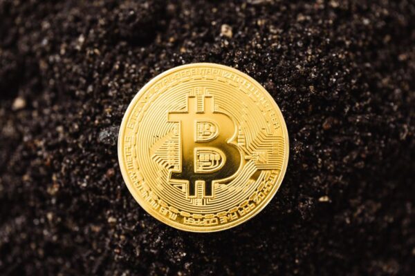 Close-up of a golden Bitcoin coin resting on dark soil, symbolizing cryptocurrency growth.