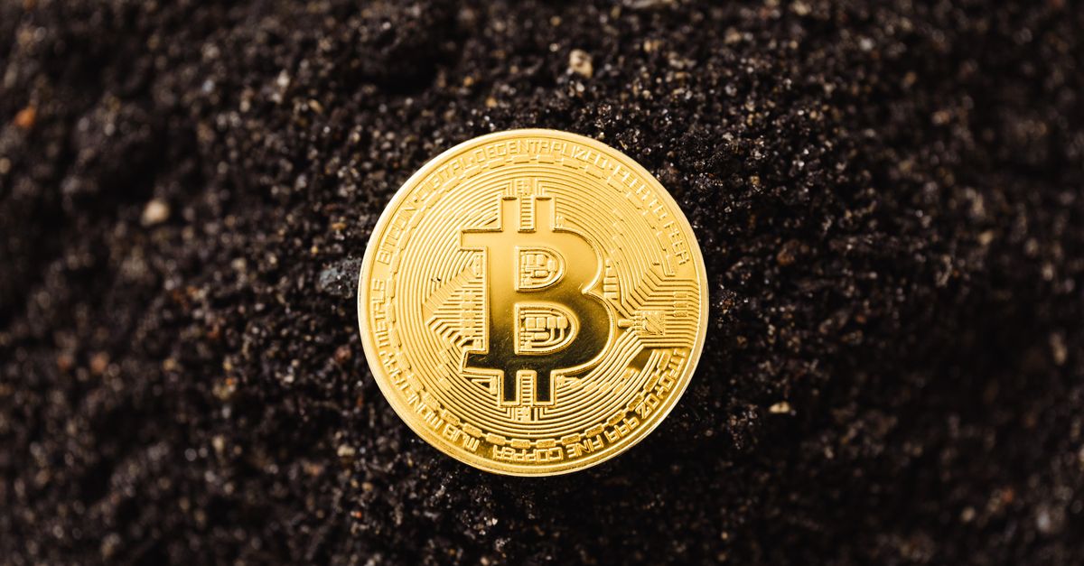 Close-up of a golden Bitcoin coin resting on dark soil, symbolizing cryptocurrency growth.
