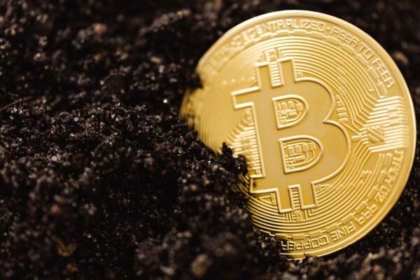 Close-up of a golden Bitcoin coin partially buried in soil, illustrating digital currency mining concept.